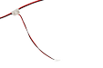 BS-TL